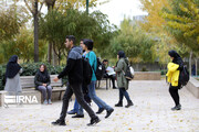 چتر بیمه‌ای دولت بر سر دانشجویان مازندران