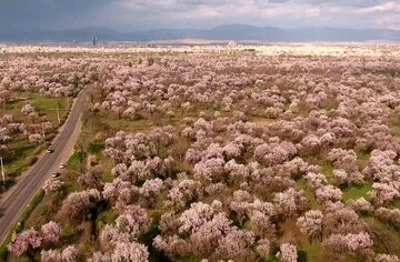 گذری اجمالی بر نشست باغستان سنتی قزوین در مسیر جهانی شدن