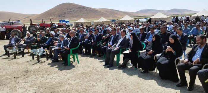 جشن شکرگزاری گندم در آذربایجان‌غربی/ ۶۱ درصد مطالبات گندم‌کاران پرداخت شد