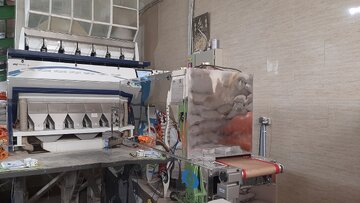 سامانه پرتودهی مایکروویو برای مبارزه با آفات برنج، فندق و بادام زمینی در گیلان رونمایی شد 