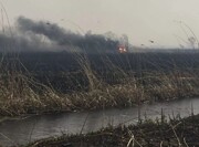 دود آتشسوزی هورالعظیم برخی شهرهای خوزستان را فراگرفت /آتش‌سوزی مهار شده است