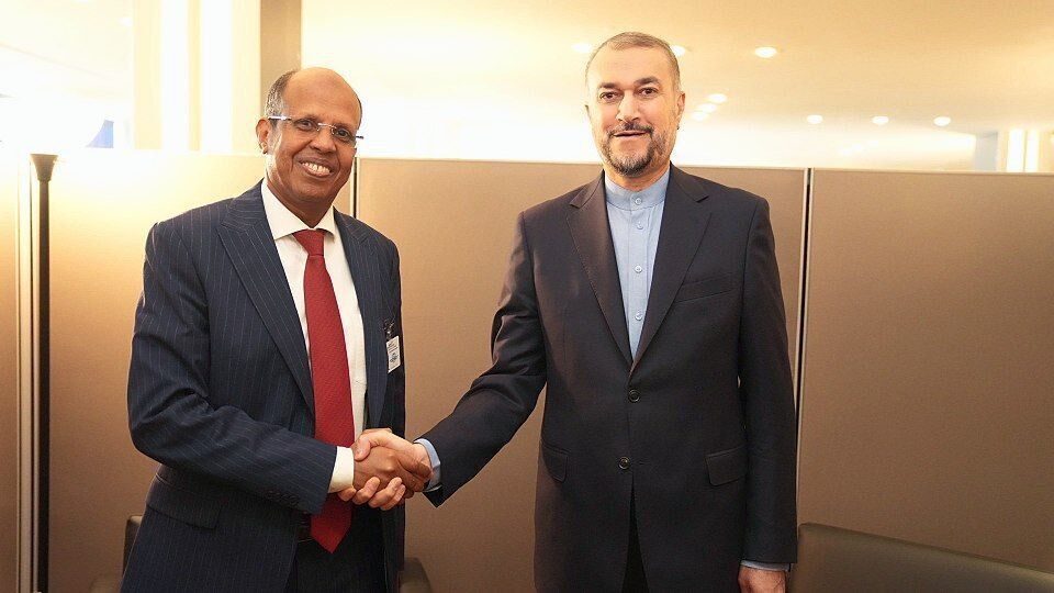 Iran, Djibouti decide to resume diplomatic relations