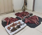 سه شکارچی غیرمجاز در قلعه‌گنج دستگیر شدند