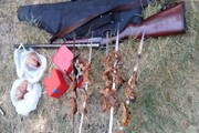 ۲ شکارچی غیرمجاز در قزوین بازداشت شدند