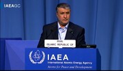 Первая международная конференция по атомной энергии пройдет в Исфахане, сообщил Эслами