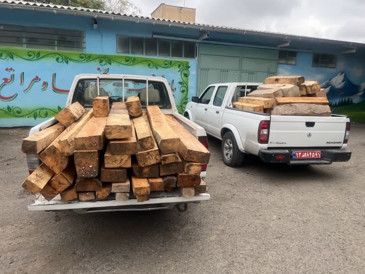 ۹۸ اصله الوار جنگلی قاچاق در اردبیل کشف شد