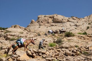 بخش دوم کوچ پاییزه عشایر خراسان رضوی به مناطق قشلاقی آغاز شد