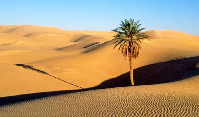 فصل پاییز کجا سفر بریم؟