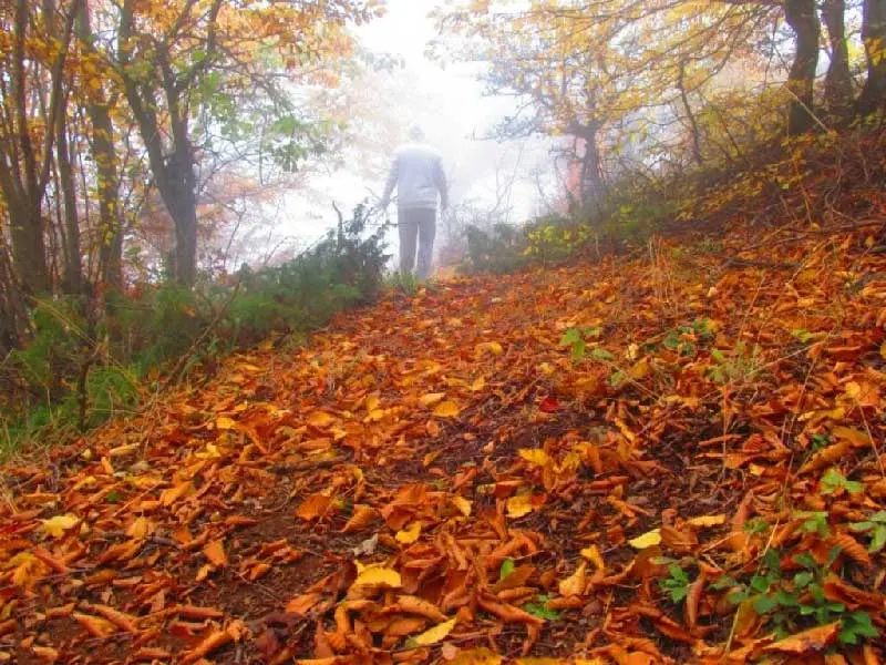 فصل پاییز کجا سفر بریم؟