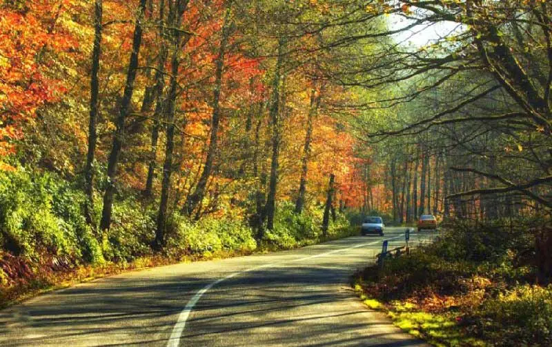 فصل پاییز کجا سفر بریم؟