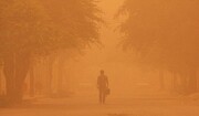 Un consensus mondial sur la lutte contre les tempêtes de sable et de poussière lors d'une conférence en Iran