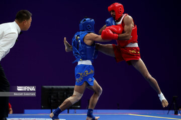 Hangzhou Asian Games; Wushu