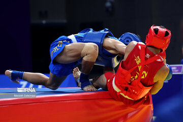 Hangzhou Asian Games; Wushu