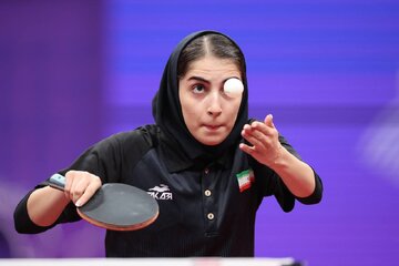 شمار ورزشکاران بیمه شده تنیس روی میز زنجان به ۷۰۰ نفر افزایش یافت