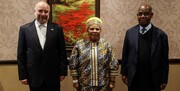 ايران وجنوب افريقيا تؤكدان على استثمار طاقات "بريكس" لتطوير العلاقات الثنائية