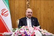 Спикер парламента Ирана отправился в ОАЭ