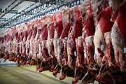 رتبه نخست تولید گوشت قرمز همچنان متعلق به خراسان رضوی است
