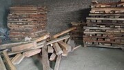 یک هزار و ۶۵۳ اصله چوب آلات جنگلی قاچاق در اردبیل کشف شد