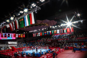 Iranian boxer at Hangzhou Asian Games