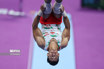 Gymnast wins first-ever medal for Iran at Asian Games
