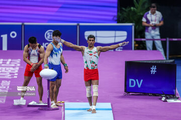 Gymnast wins first-ever medal for Iran at Asian Games
