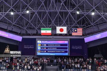 Gymnast wins first-ever medal for Iran at Asian Games
