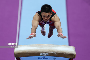 Gymnast wins first-ever medal for Iran at Asian Games
