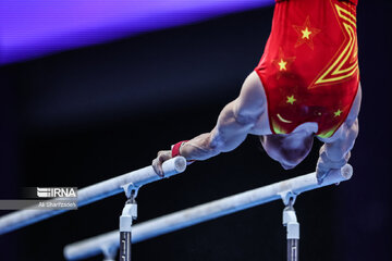 Gymnast wins first-ever medal for Iran at Asian Games
