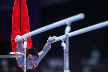 Gymnast wins first-ever medal for Iran at Asian Games
