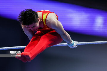 Gymnast wins first-ever medal for Iran at Asian Games
