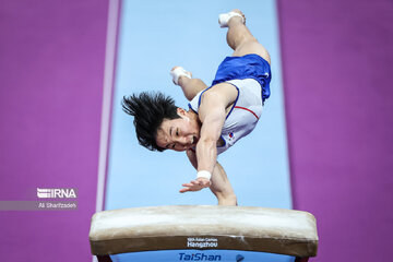 Gymnast wins first-ever medal for Iran at Asian Games
