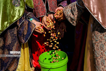 Pistachio festival of Azarshahr