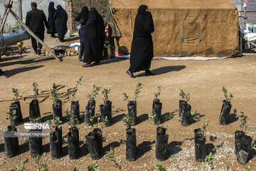 Pistachio festival of Azarshahr