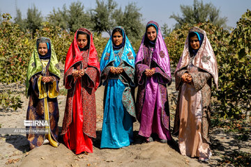 Pistachio festival of Azarshahr