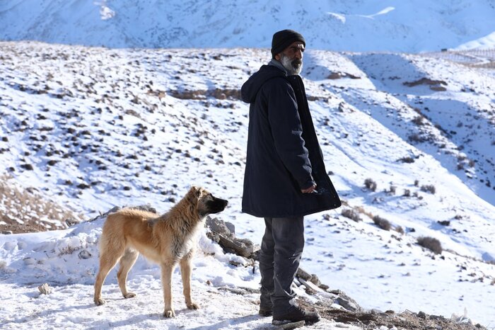 «آه سرد» از ۱۲ مهر در سینماها اکران می‌شود