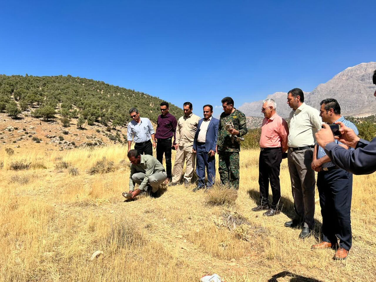 ۲ بهله پرنده شکاری به آغوش طبیعت کهگیلویه وبویراحمد بازگشتند ۲ بهله پرنده شکاری به آغوش طبیعت کهگیلویه وبویراحمد بازگشتند