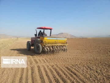 ۷۲۳ هزار هکتار از اراضی کردستان زیرکشت محصولات زراعی رفت