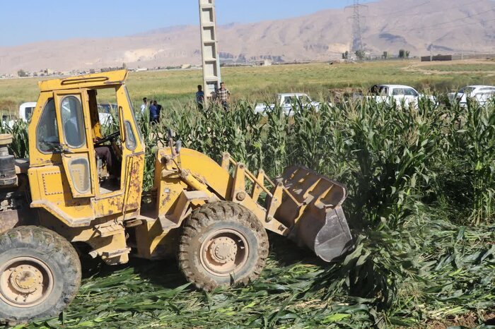 برچیدن مزارع آلوده به فاضلاب در فارس/ نابودی ۴۵هکتار از زمین‌های کشاورزی گردخون