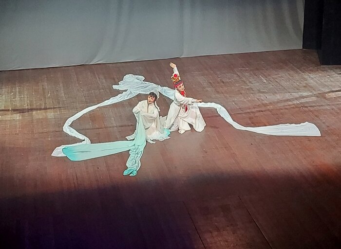 نمایش آیینی و سنتی؛ زمینهساز توسعه همکاری هنری ایران و چین