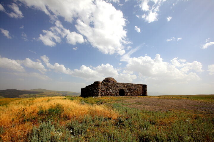 صائین در خواب کاروان و شیهه اسبان+فیلم