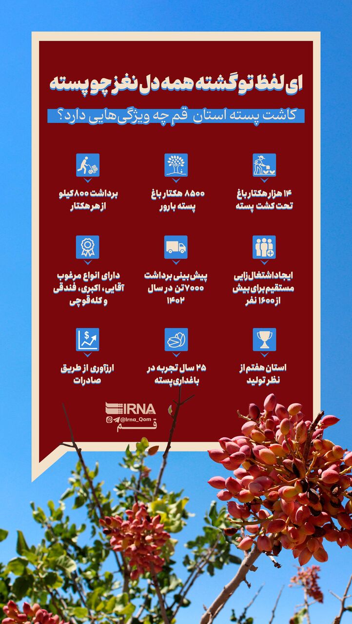 اینفوگرافیک | منافع کاشت پسته در استان قم
