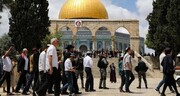 الصهاينة يقتحمون باحات المسجد الاقصى لليوم الرابع على التوالي