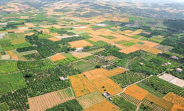 رئیس سازمان ثبت اسناد: ۴۰ درصد زمین های کشاورزی کشور تثبیت مالکیت شده است