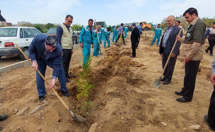 فیلم | آغاز کاشت سه میلیون و ۵۰۰ هزار اصله درخت در ساوه