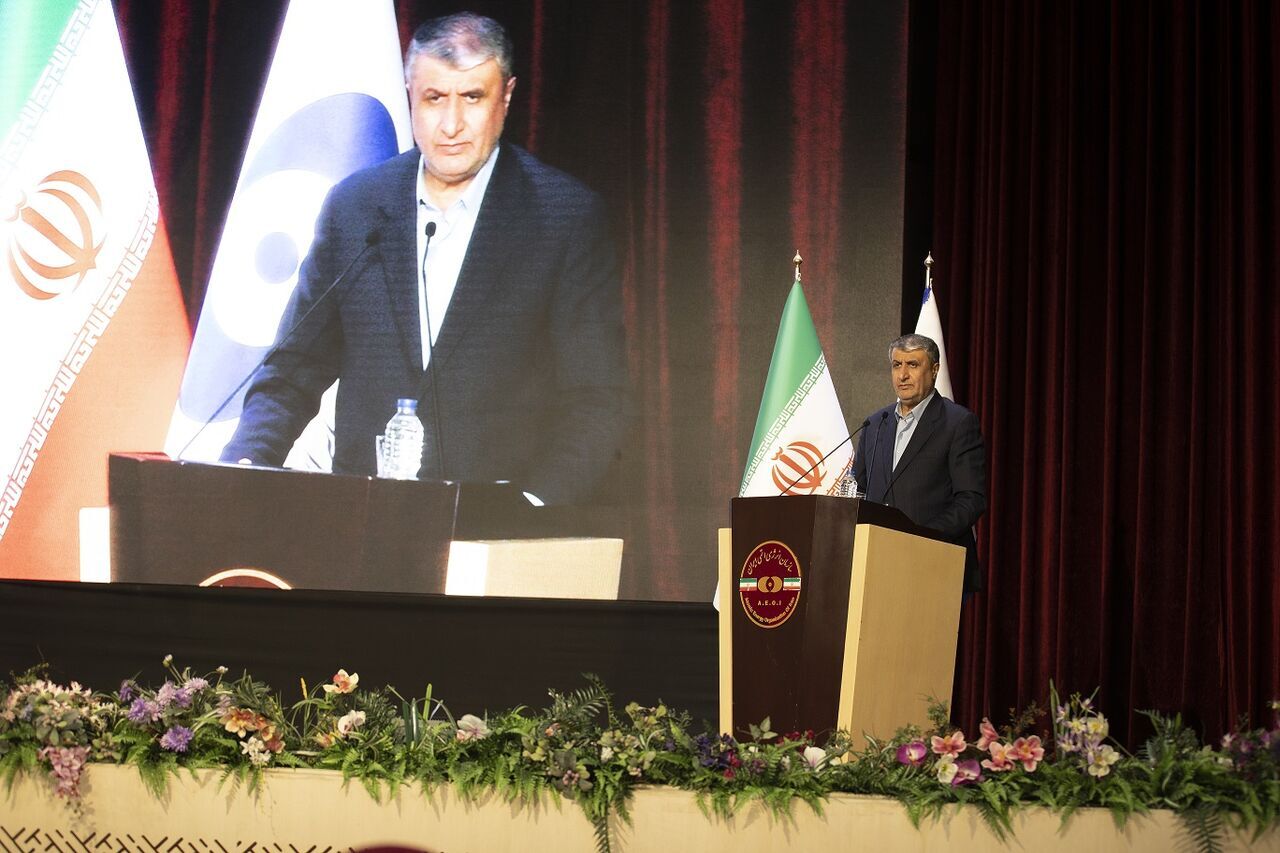 El jefe de la OEAI: Los logros nucleares de Irán sirven a la paz y a la humanidad