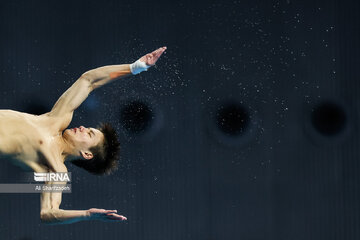 Asian Games: Iranian diver