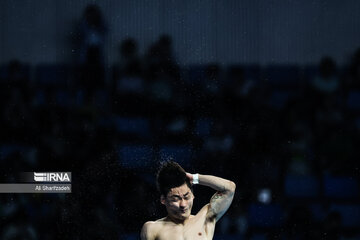 Asian Games: Iranian diver