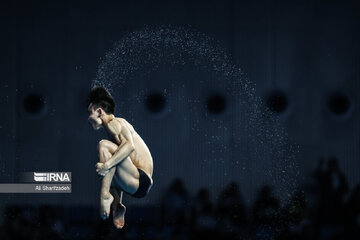 Asian Games: Iranian diver