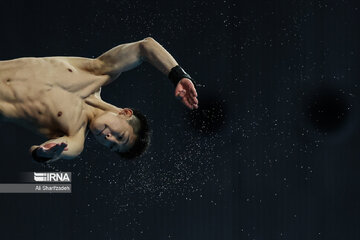 Asian Games: Iranian diver