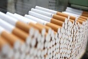 قاچاقچی سیگار در بردسیر بیش از چهار میلیارد ریال جریمه شد
